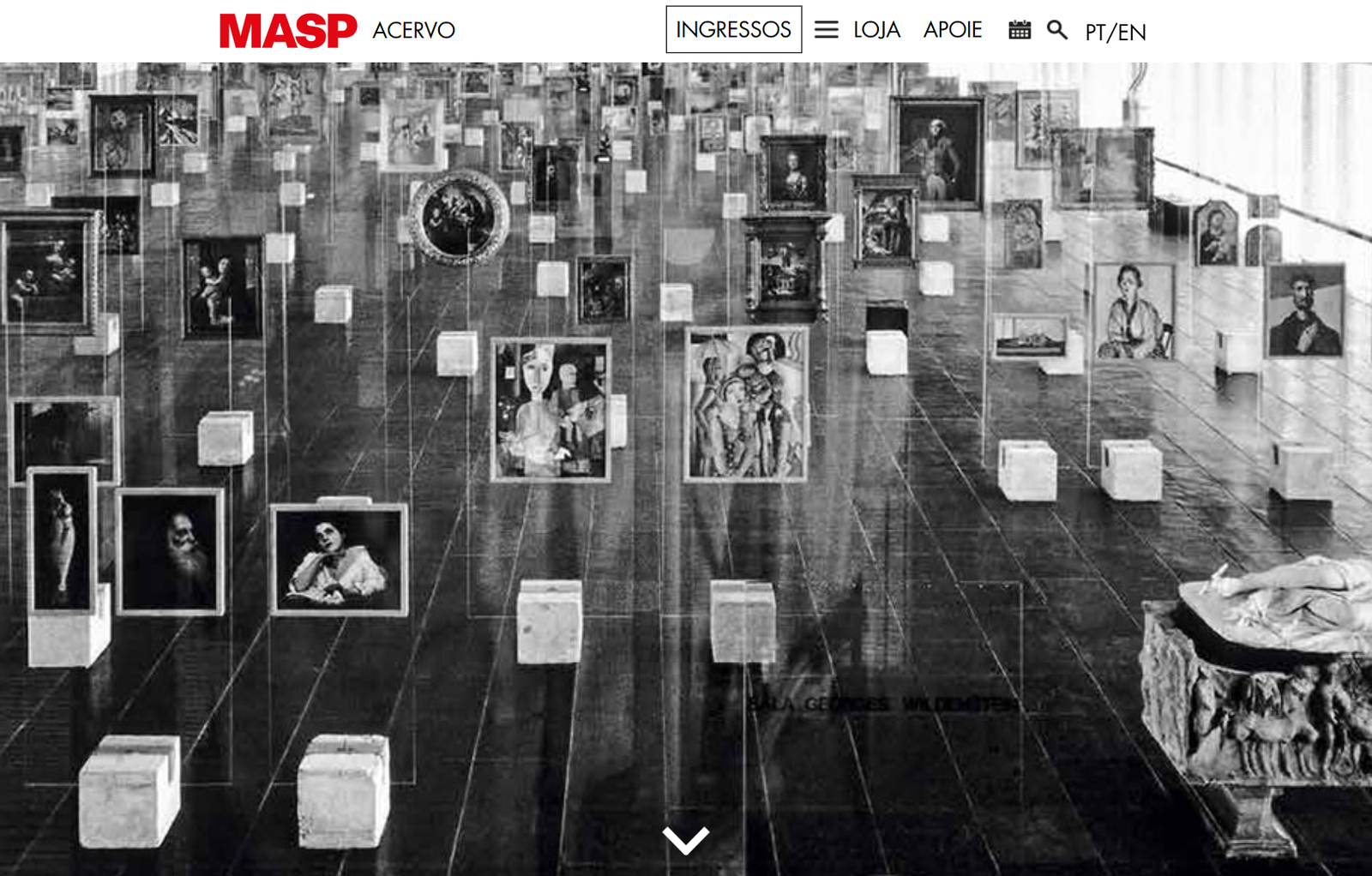 MASP Search