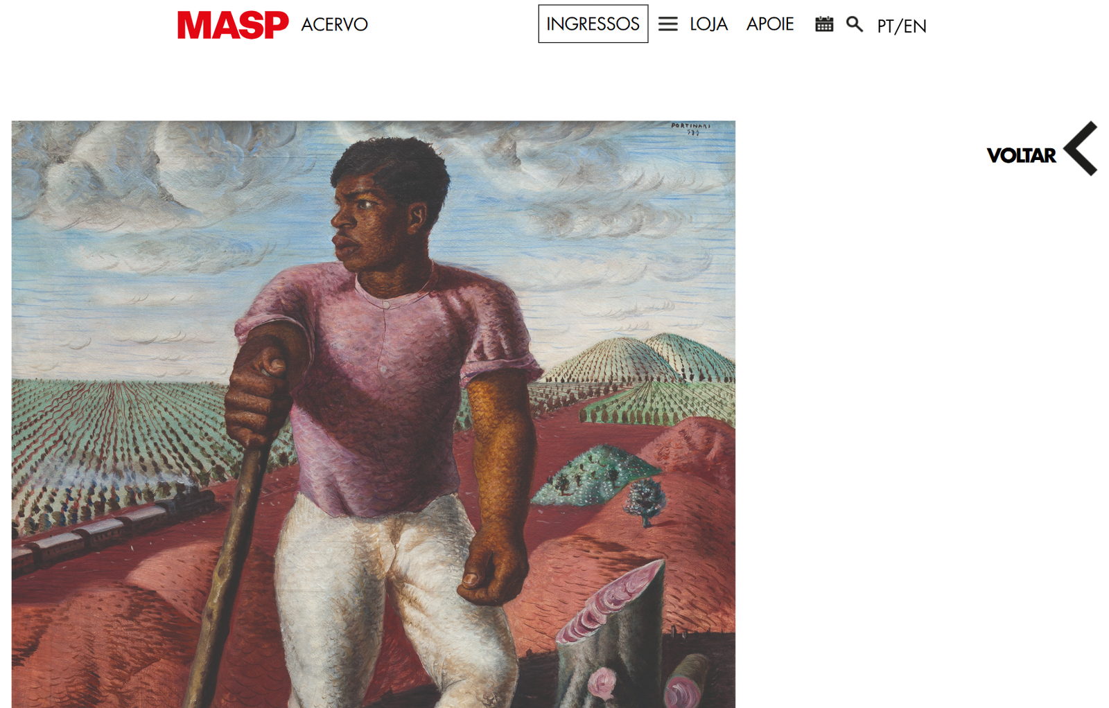 MASP Detail